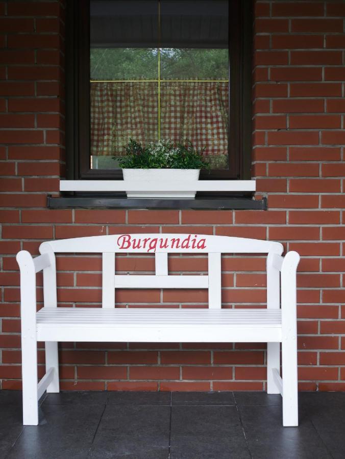Niewinne Domki - Burgundia Zywiec Ngoại thất bức ảnh
